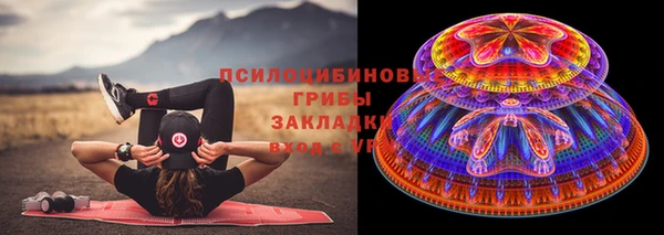 а пвп мука Алзамай