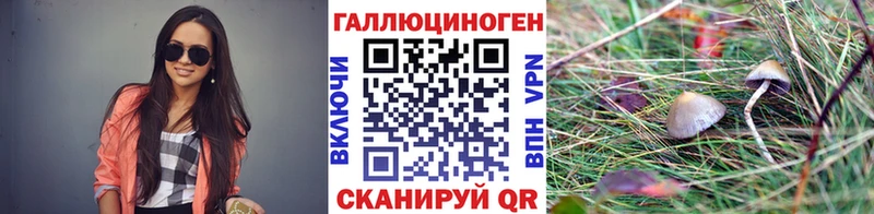 Галлюциногенные грибы мицелий  kraken вход  Сатка 