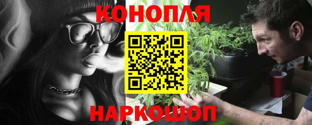 Шишки марихуана THC 21%  Конопля сатива  Вход с VPN  Шишки марихуана план  Сатка 